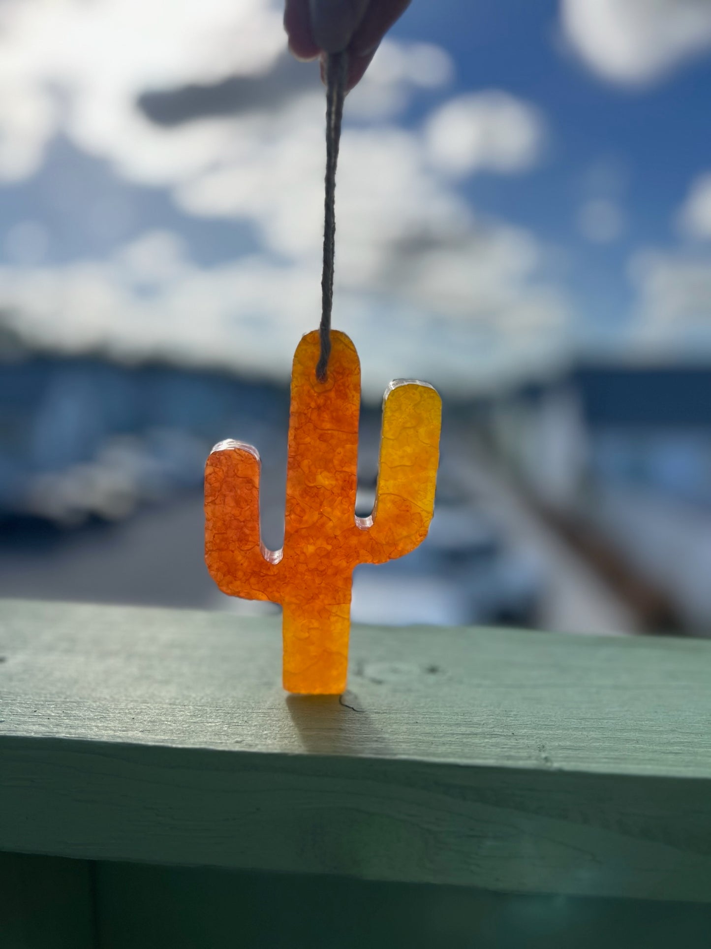 Orange and yellow cactus