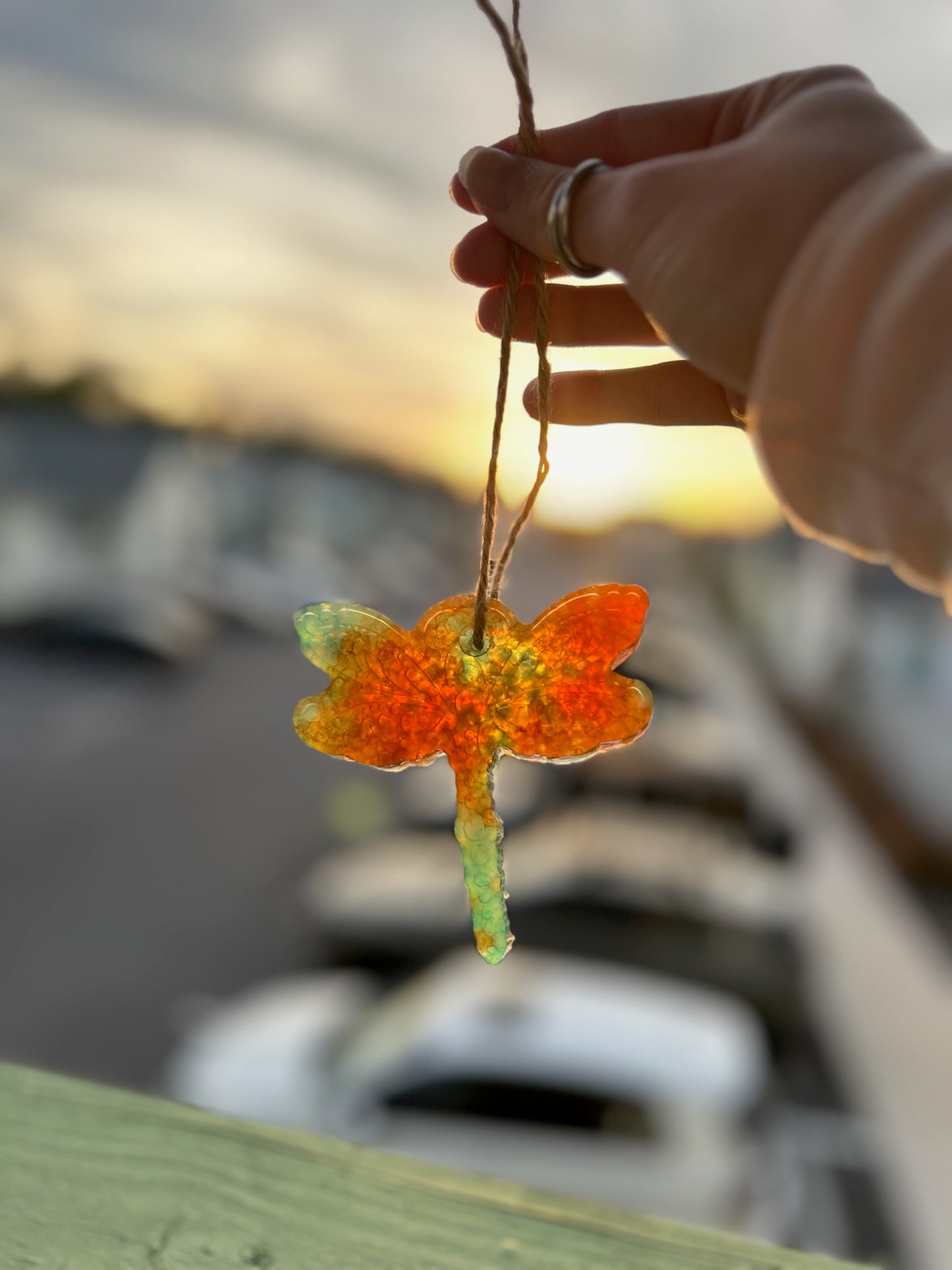 Orange and Blue Dragonfly