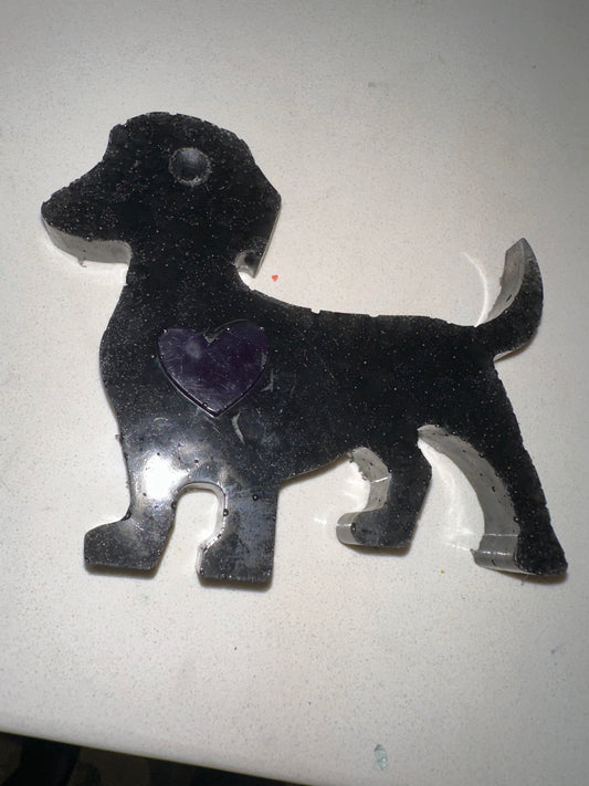 Black dachshund with Purple Heart