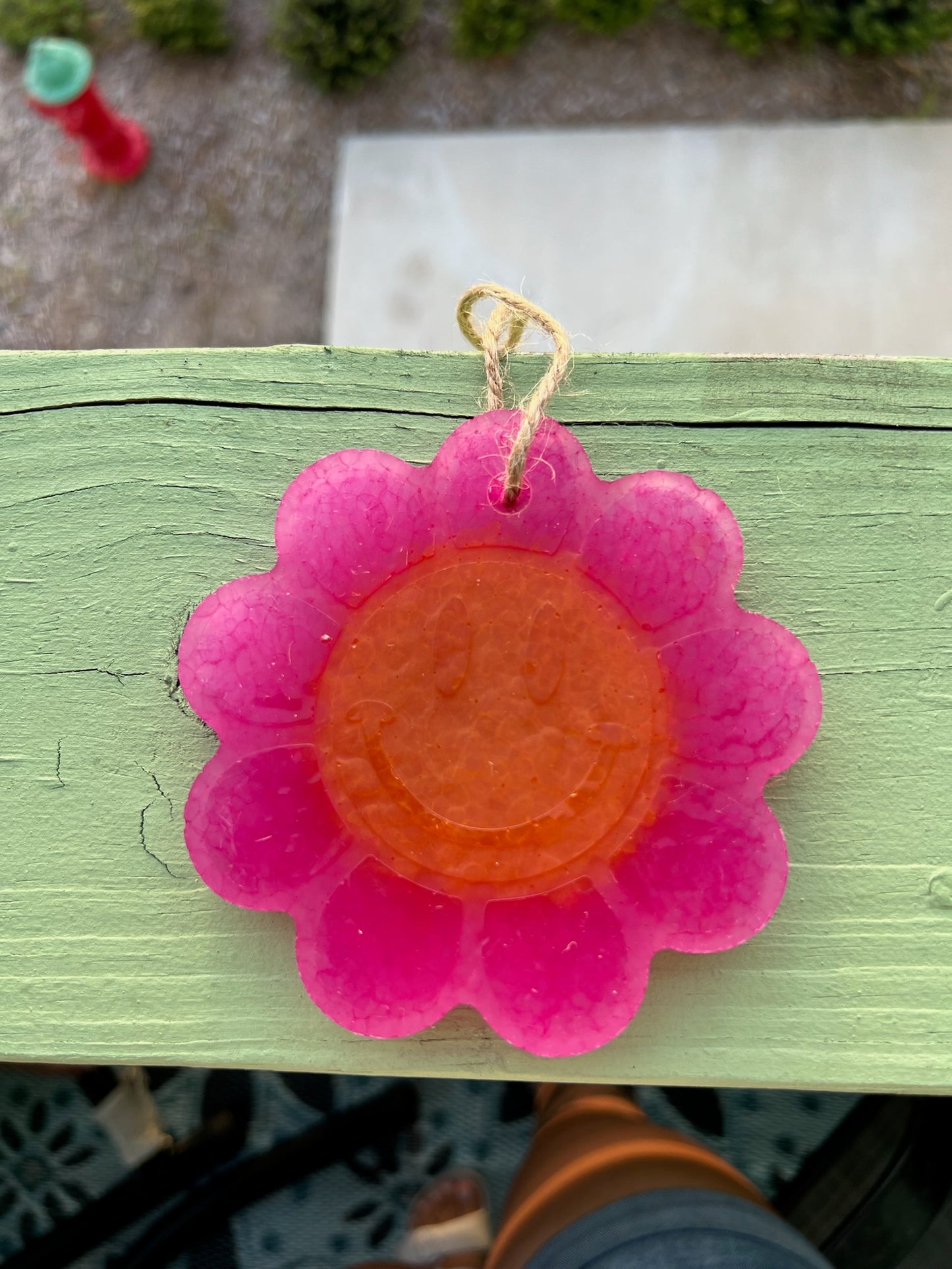 Pink and Orange Daisy