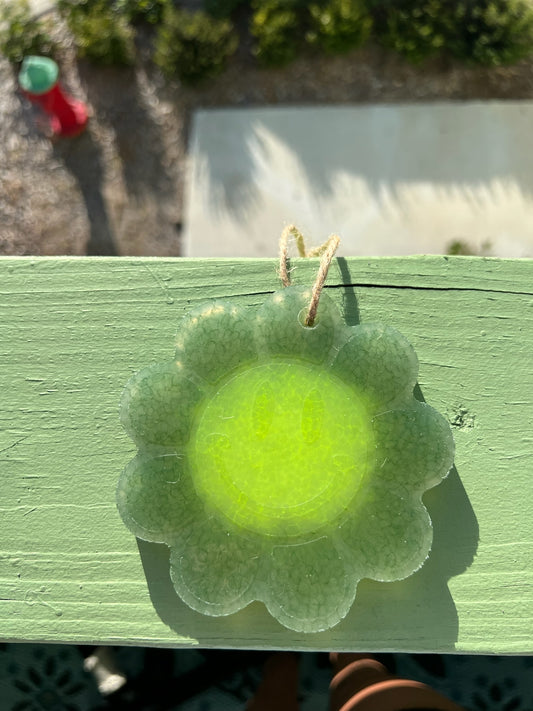 Green and Yellow Daisy