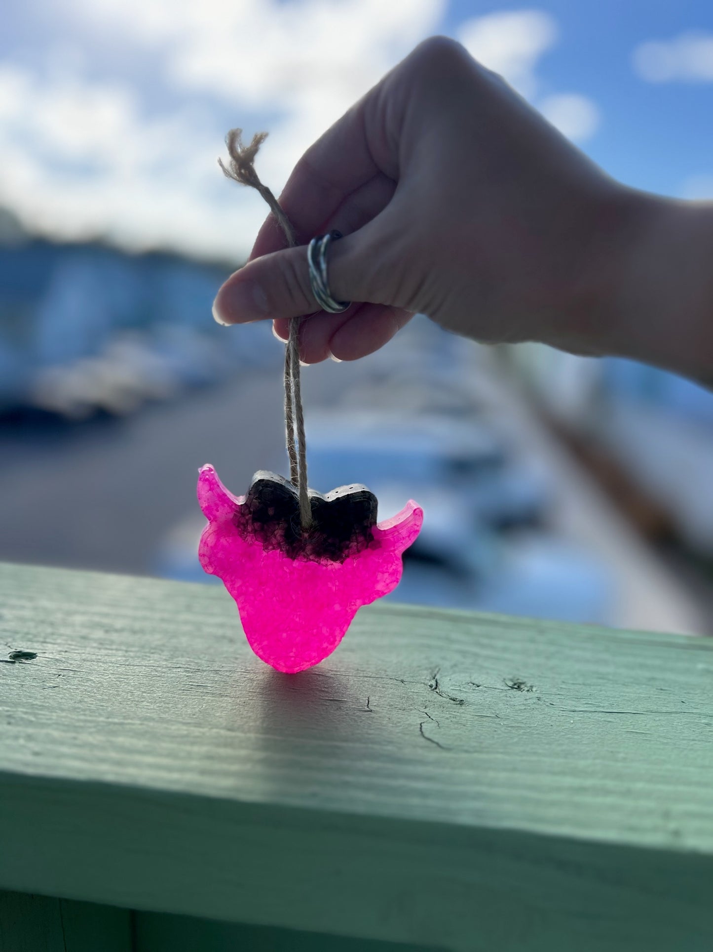 Black and pink highland cow