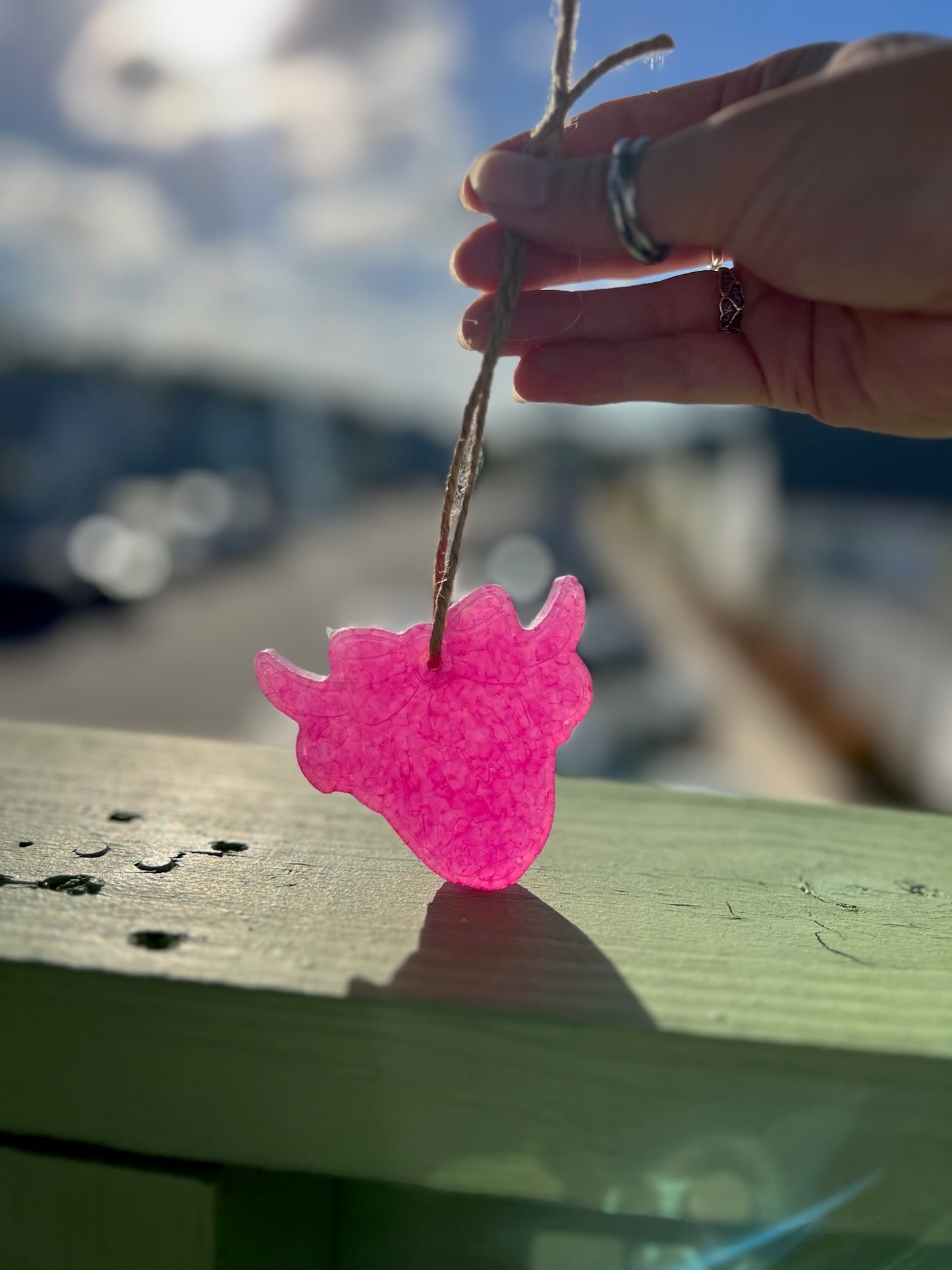 Pink Highland Cow