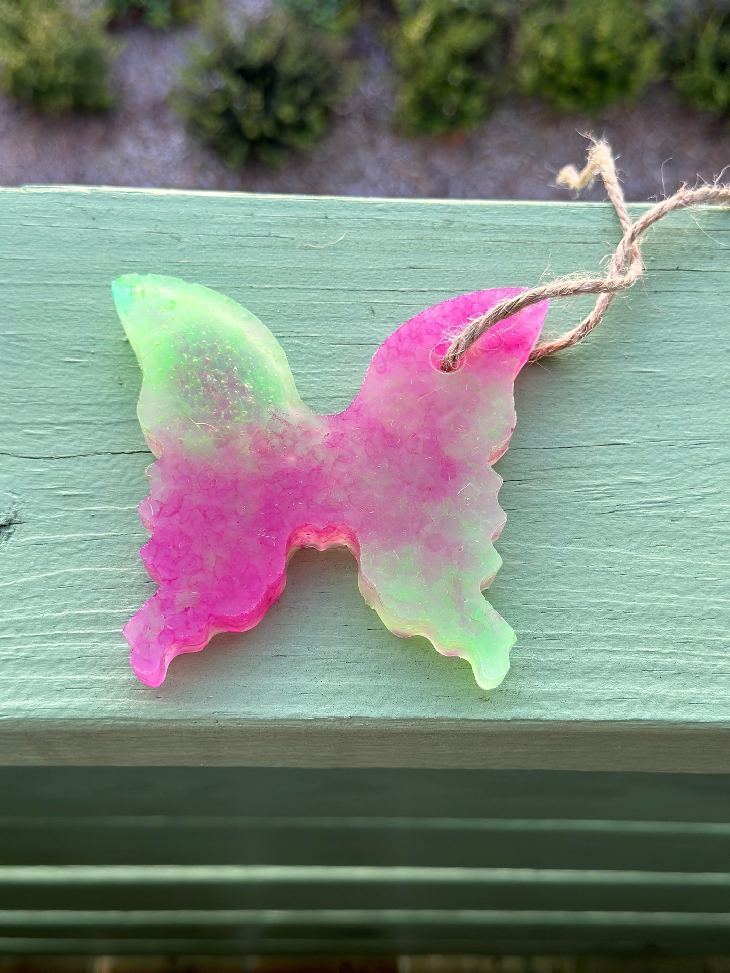 Green and Pink Butterfly