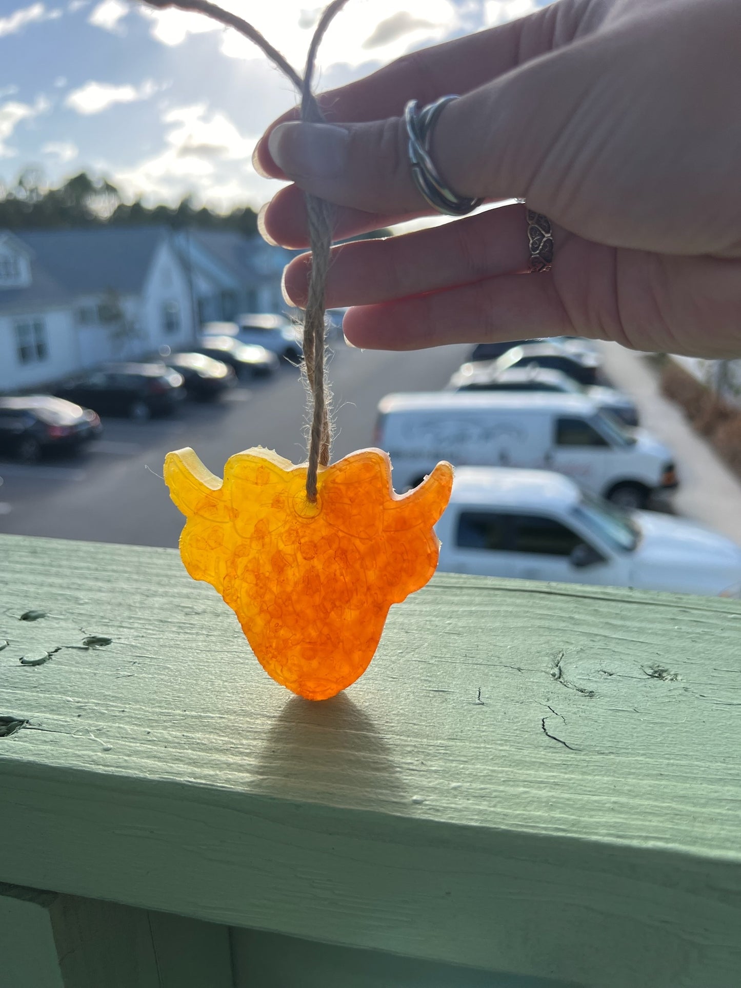 Yellow and Orange Highland Cow