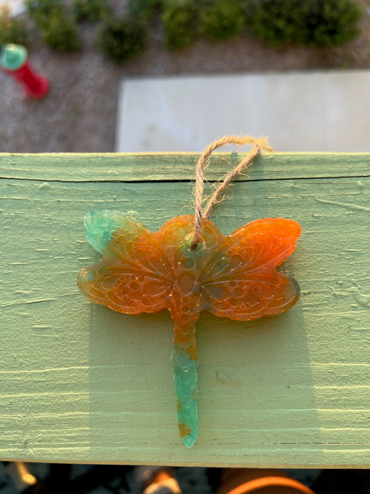 Orange and Blue Dragonfly