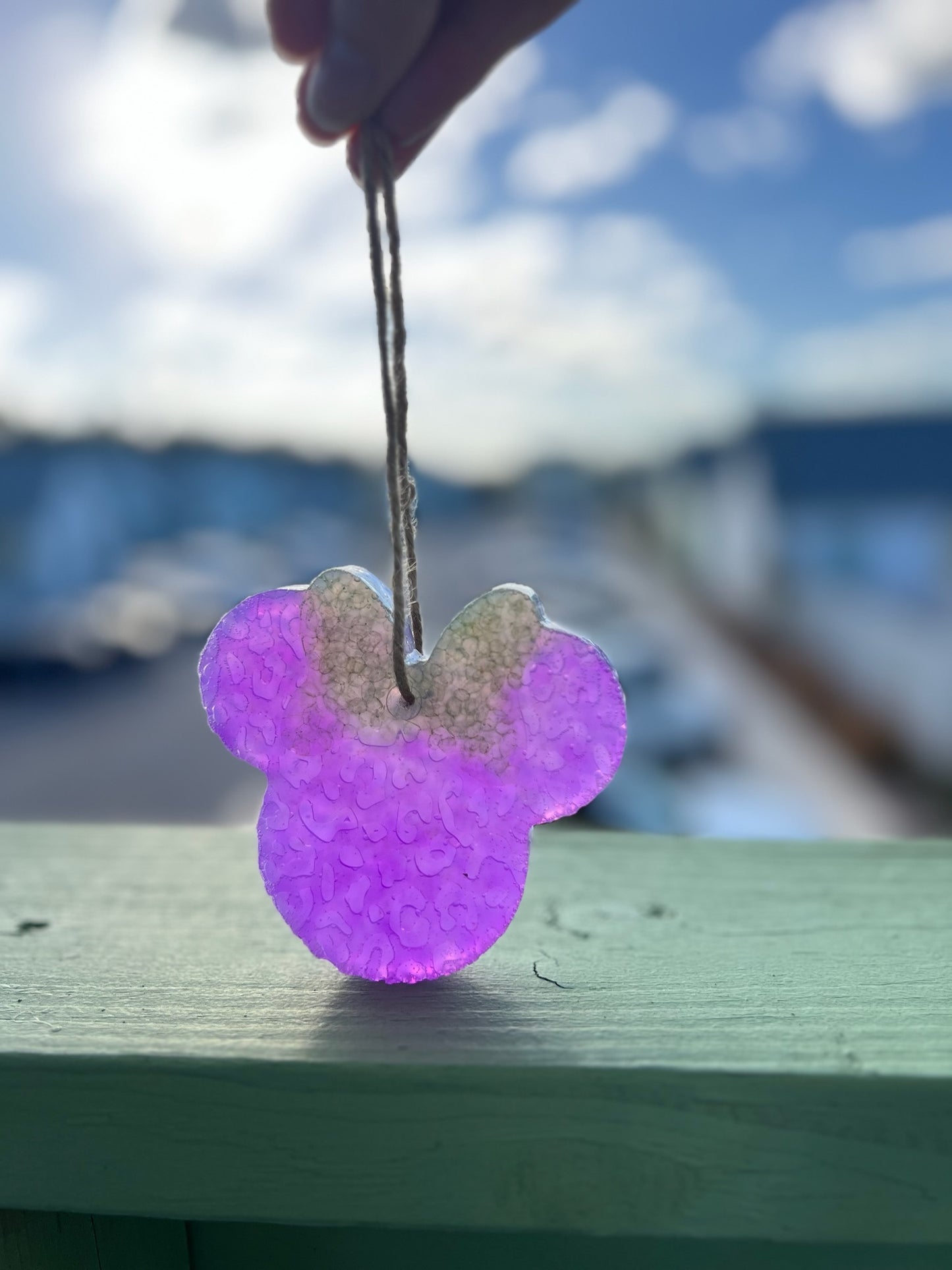 Green and Purple Mickey