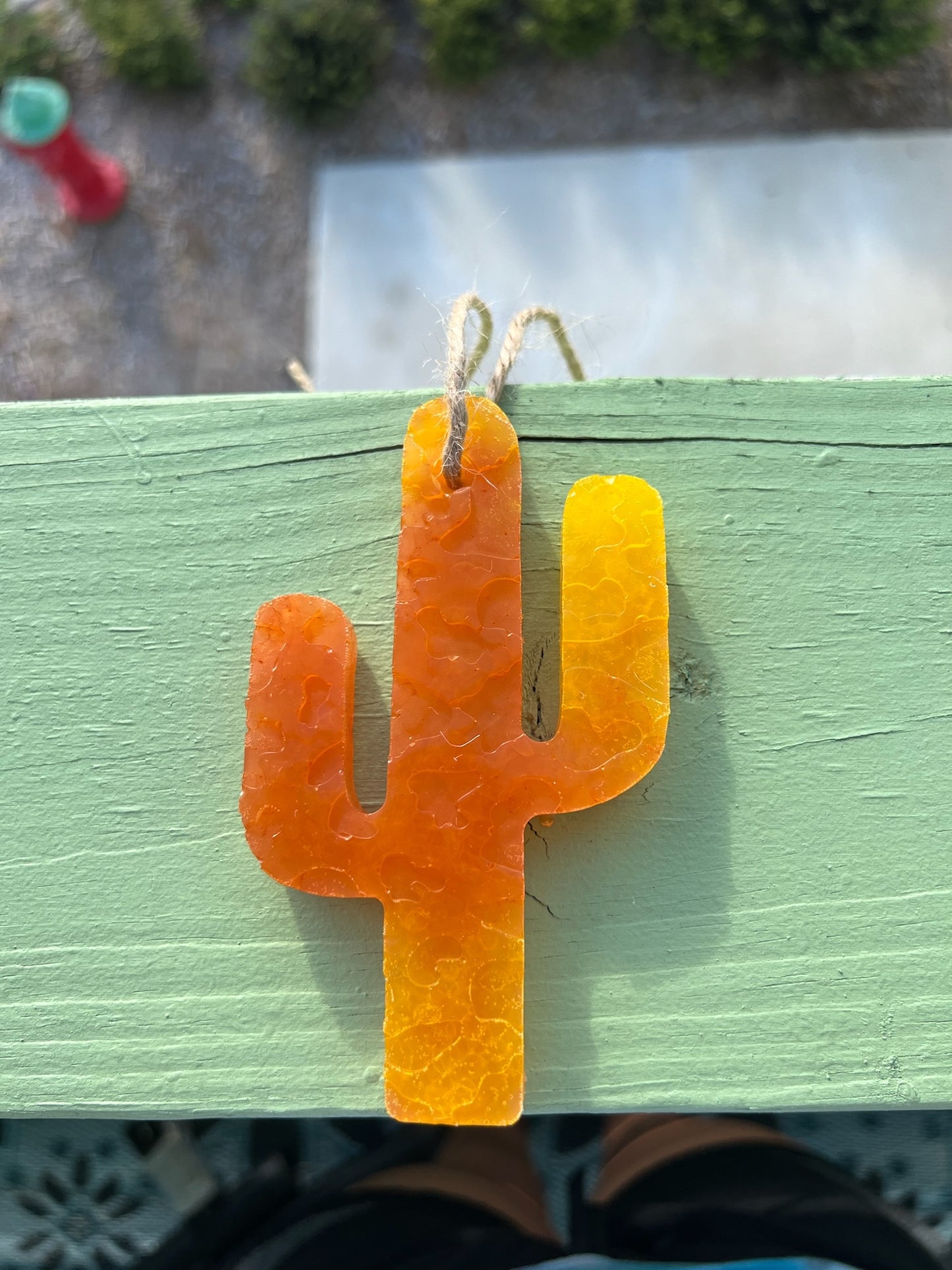 Orange and yellow cactus