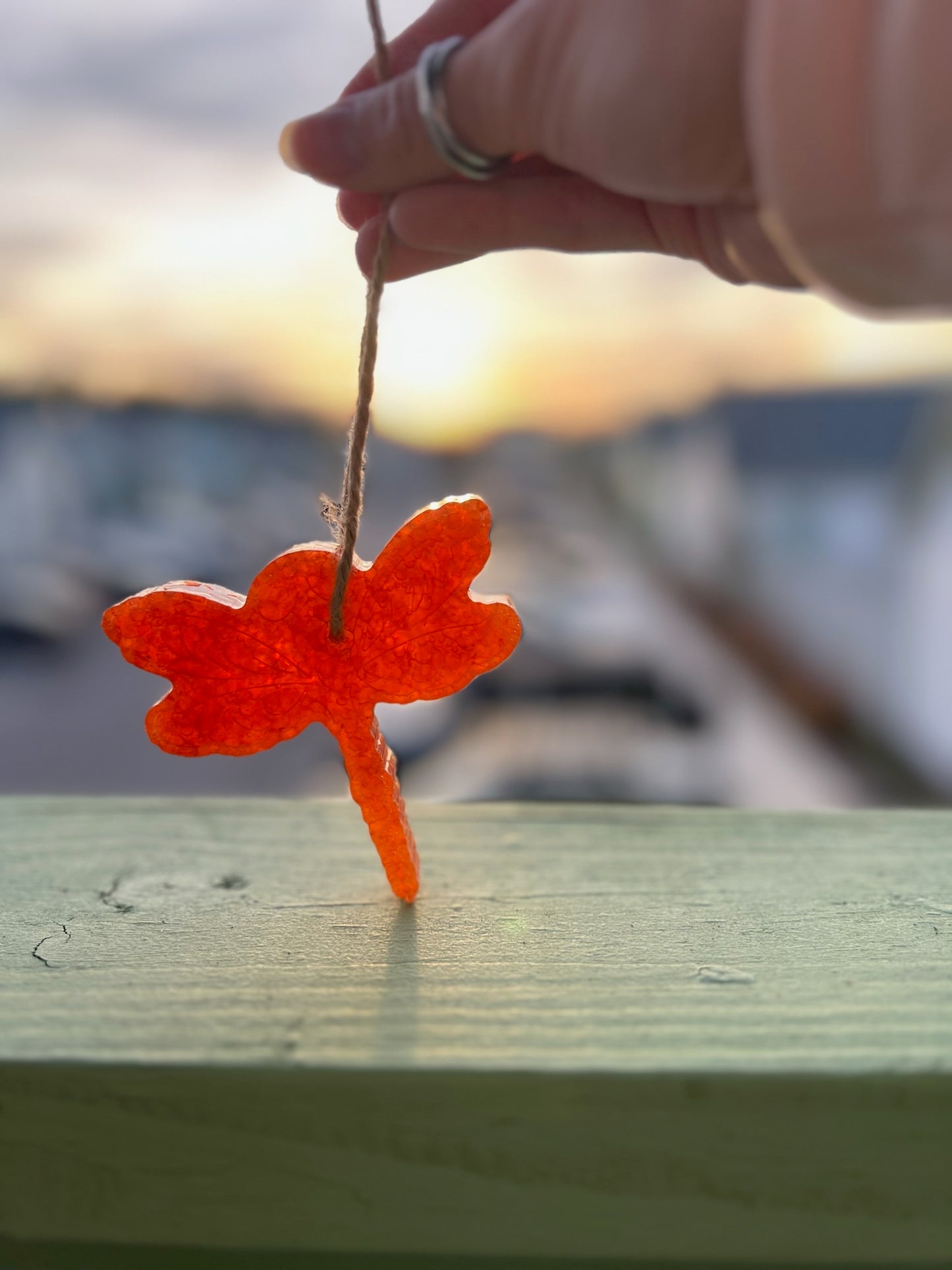 Orange Dragonfly