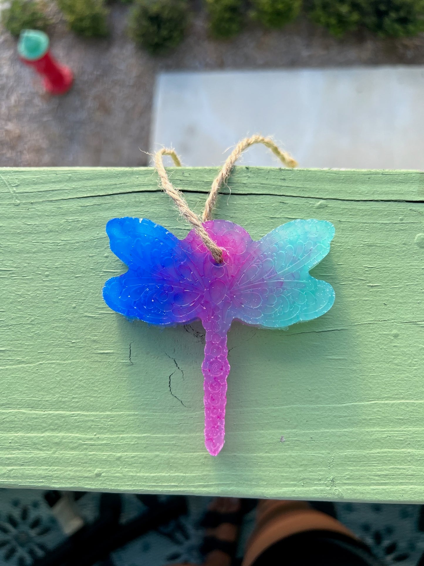 Blue and Pink Dragon fly