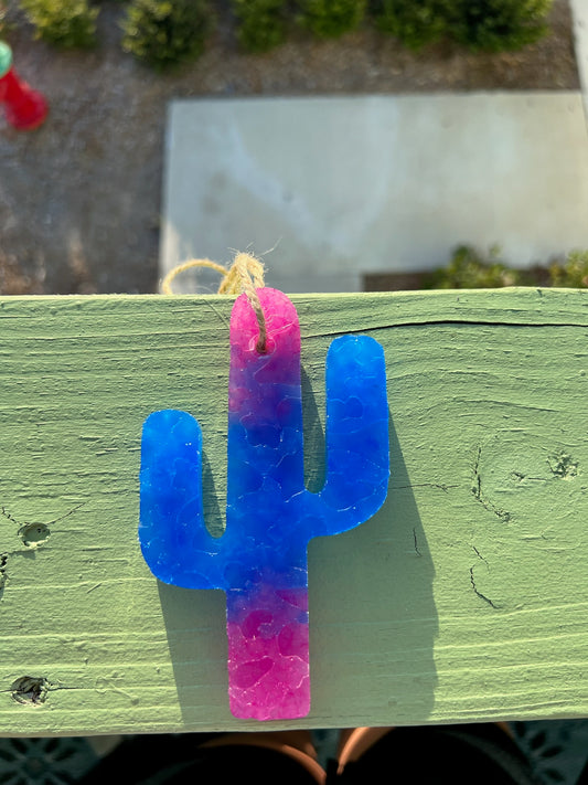 Blue and Pink Cactus