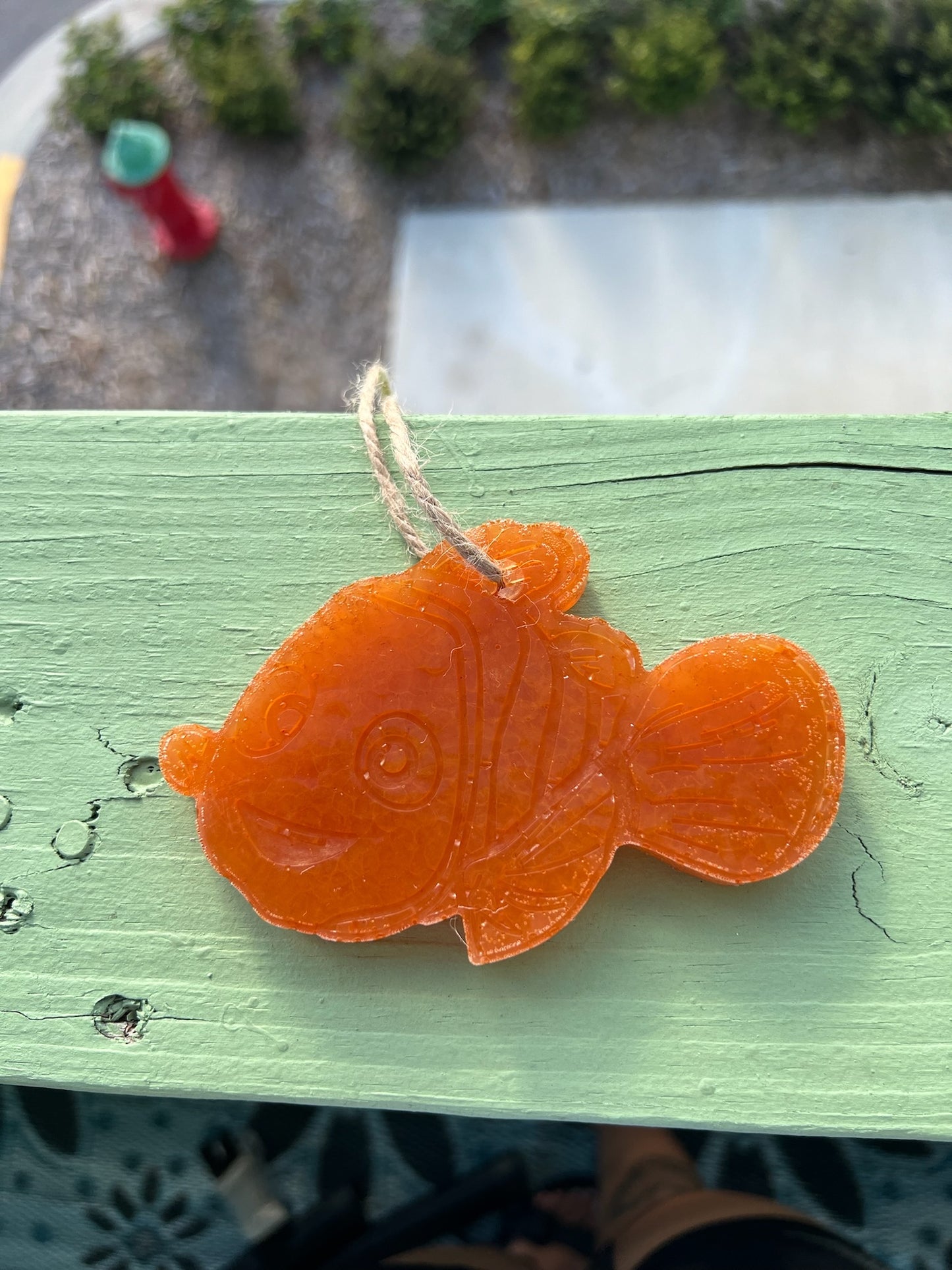 Orange Nemo