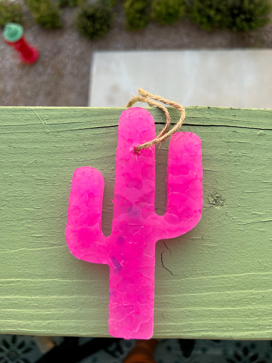 Pink Cactus