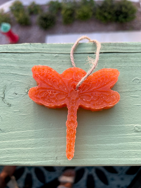 Orange Dragonfly