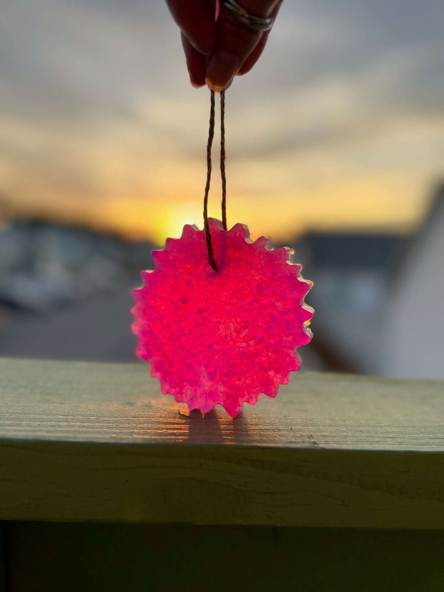 Pink and Purple Sunflower