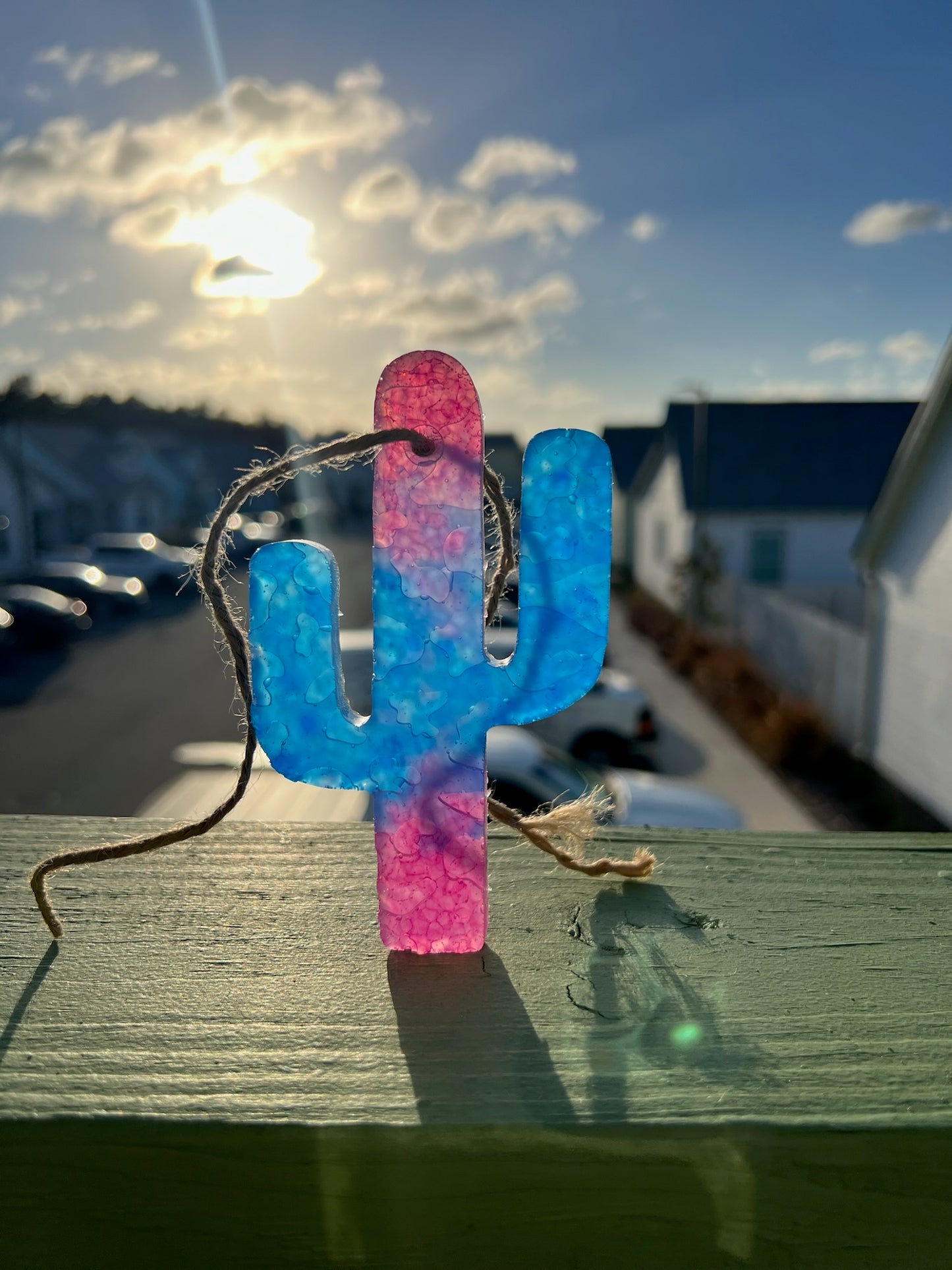 Blue and Pink Cactus