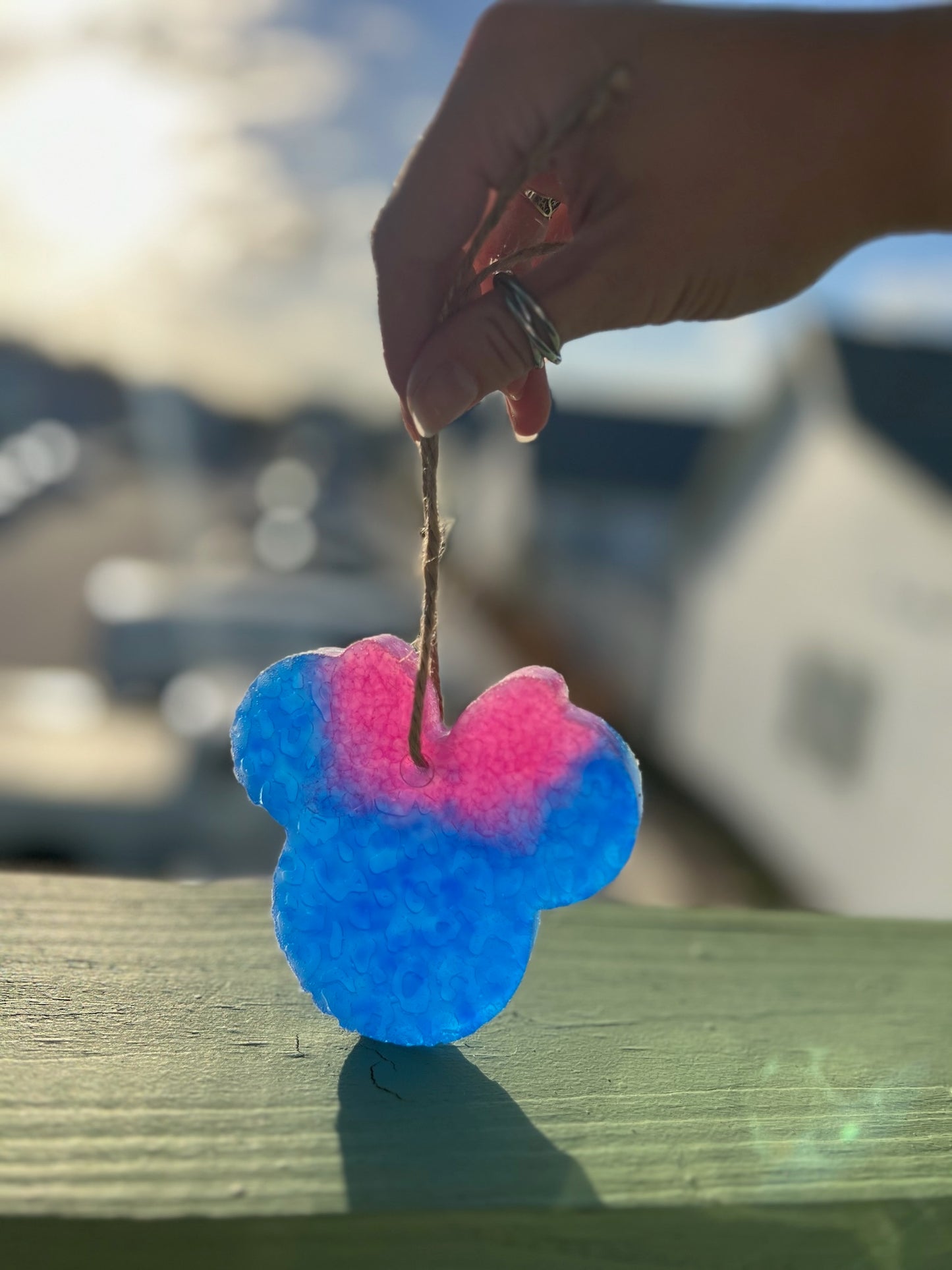 Blue and Pink Mickey