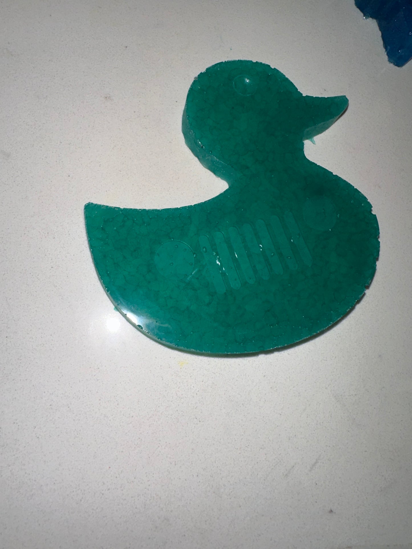 Teal duck