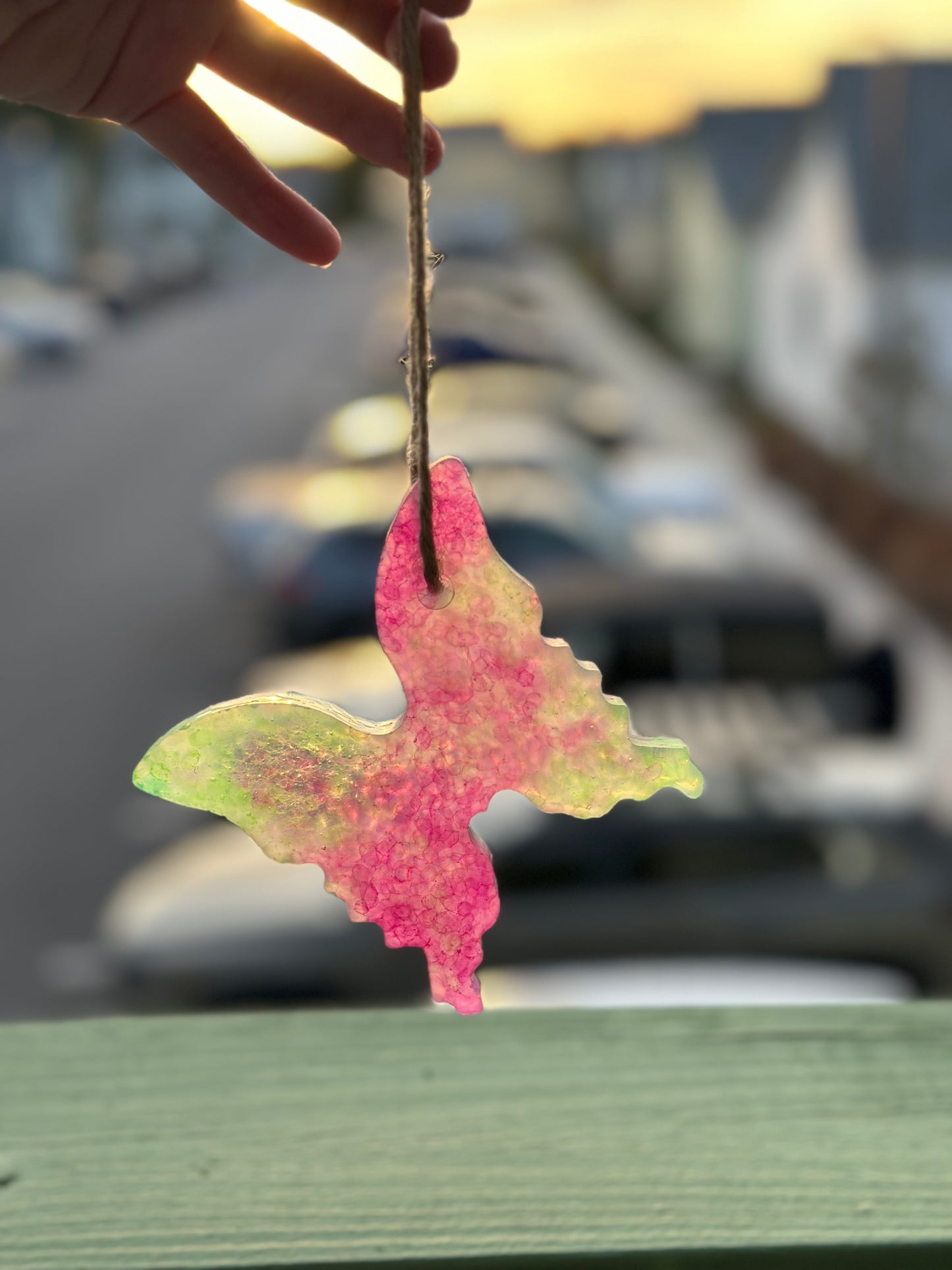 Green and Pink Butterfly