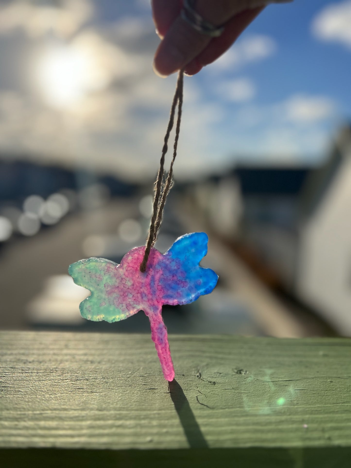 Blue and Pink Dragon fly