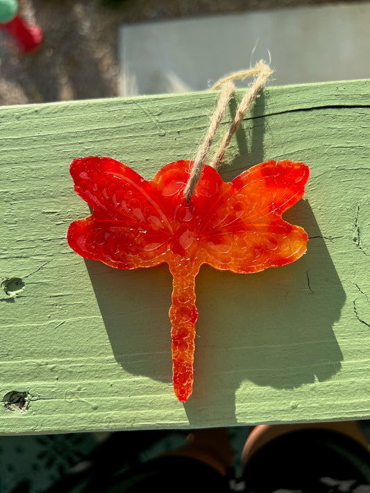 Red and Orange Dragon fly