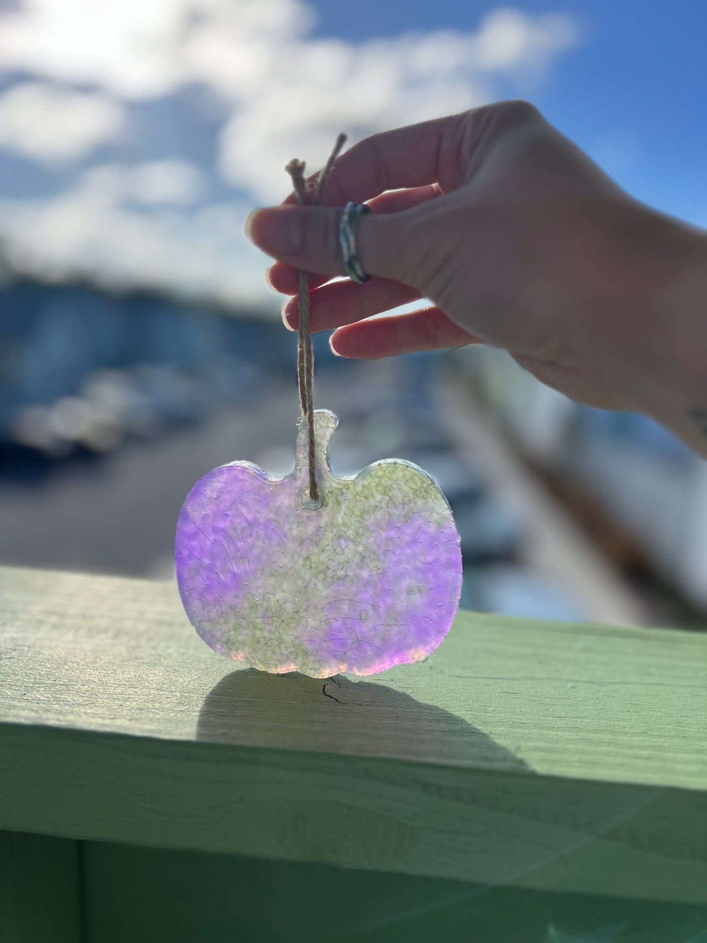 Green and purple pumpkin